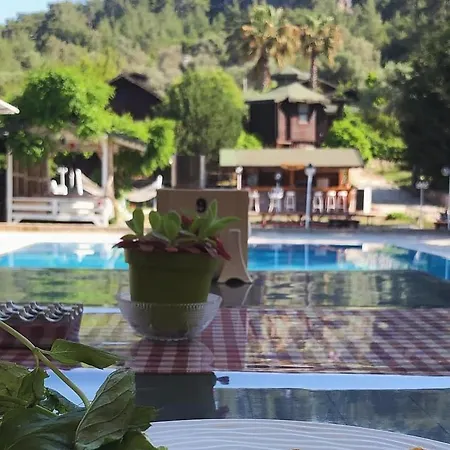 Arzum Bungalovs Hotel *