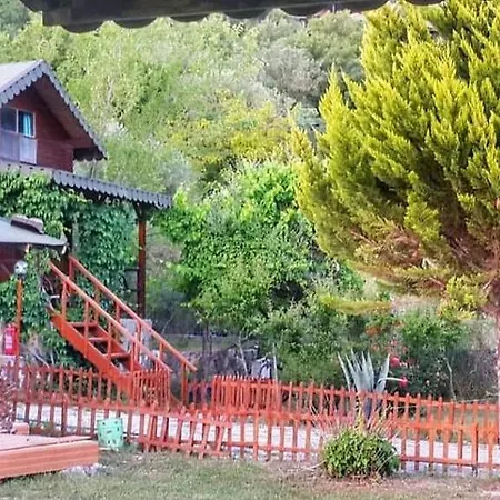 Hotel Arzum Bungalovs Kumluca