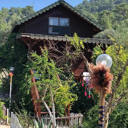 Hotel Arzum Bungalovs Kumluca
