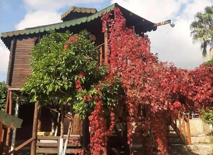 Hotel Arzum Bungalovs