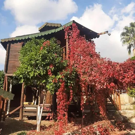 Отель Arzum Bungalovs