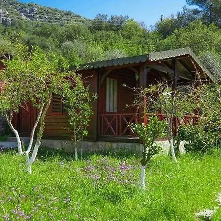 Arzum Bungalovs *