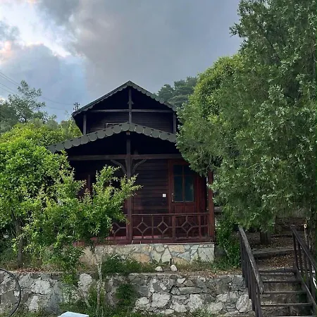 Отель Arzum Bungalovs *